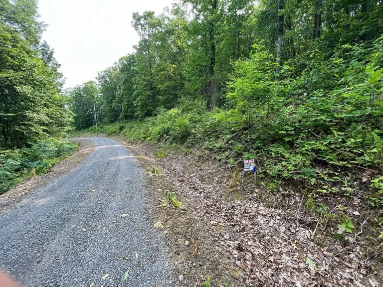 Overlook at the Greenbrier – Lot 29