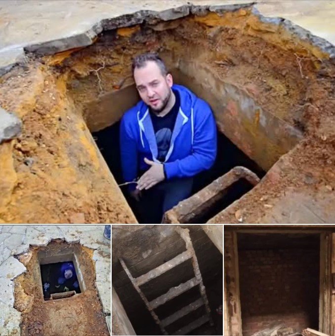 Man Kept Hearing Strange Noises Under Driveway, Look What He Found Inside